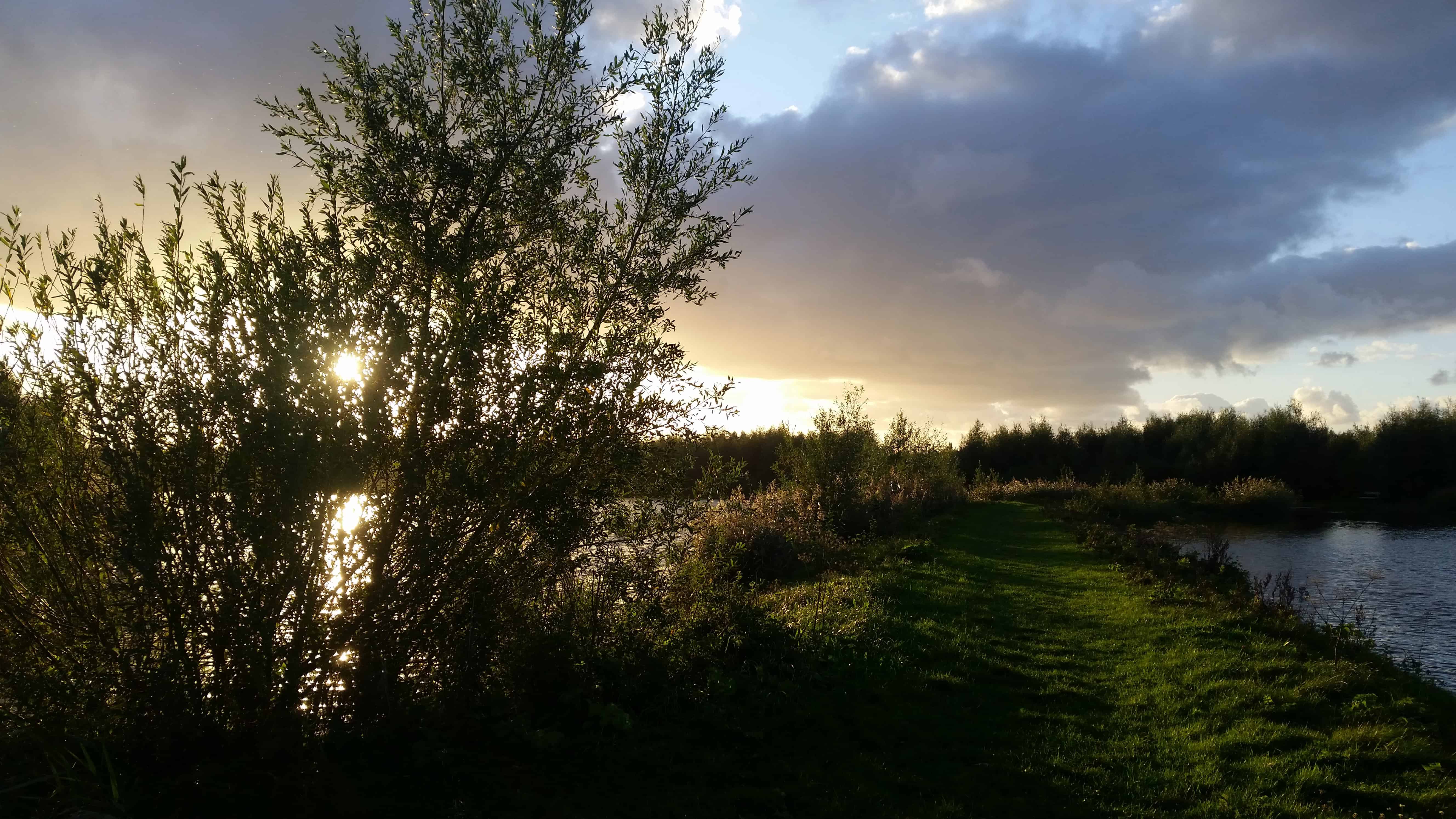 Locatie aan het water in De Biesbosch. Foto Shirley de Koster