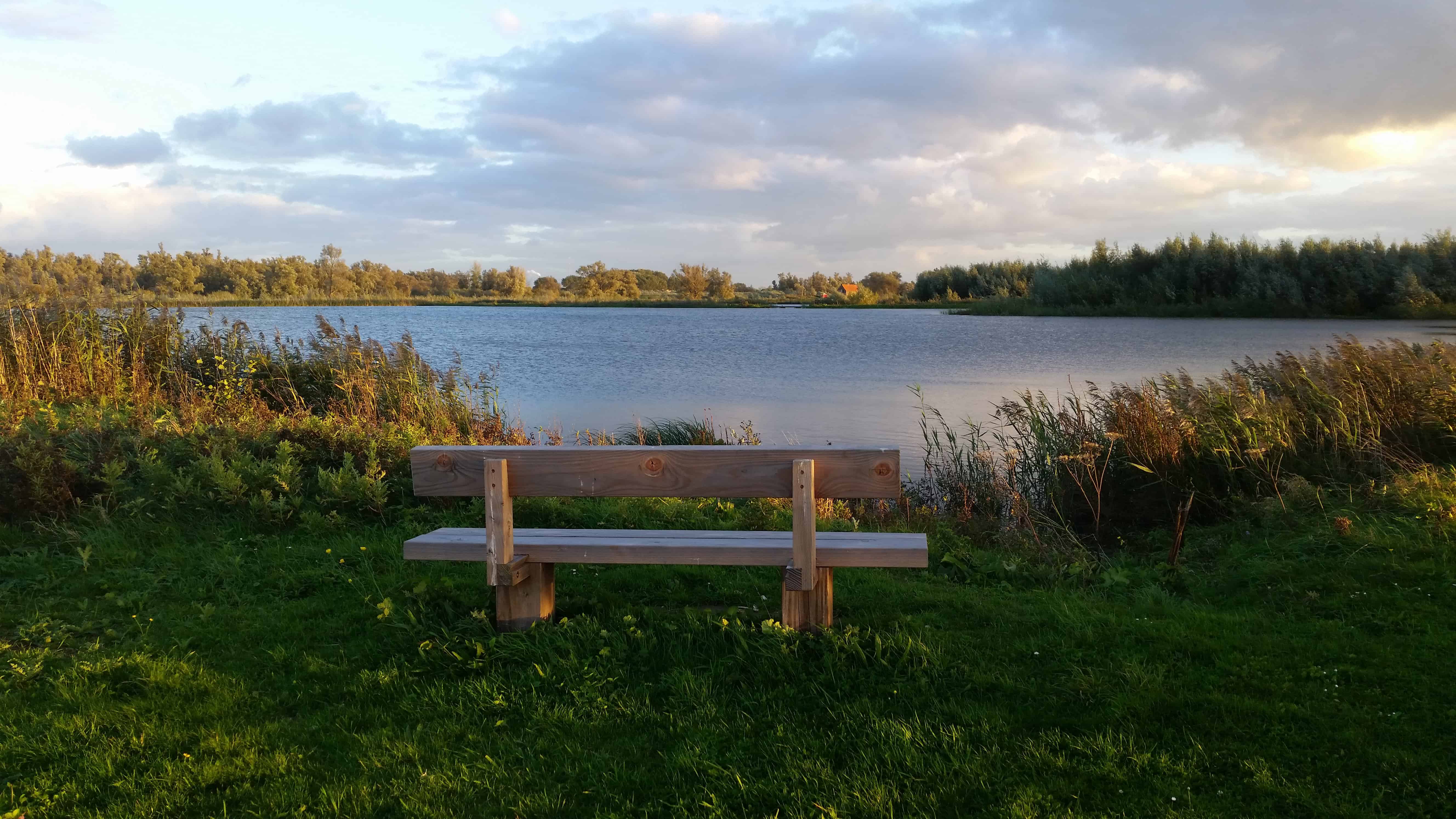 Locatie aan het water in De Biesbosch. Foto Shirley de Koster