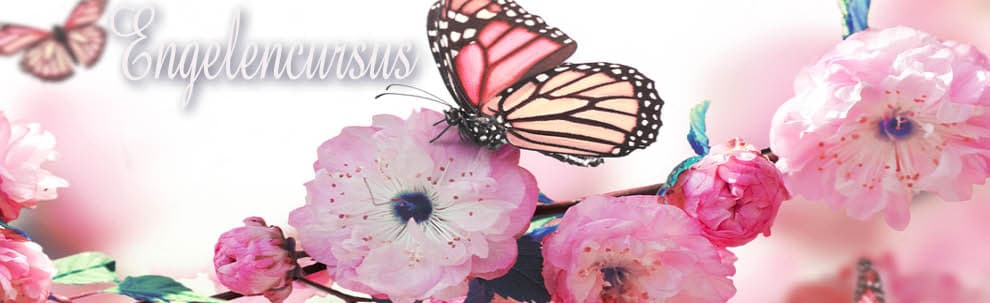 yogacoaching special