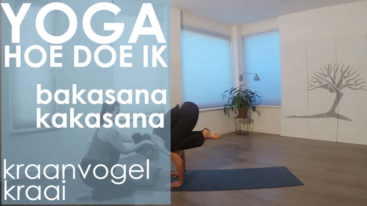 yoga video kraai balans kraanvogel lastig 