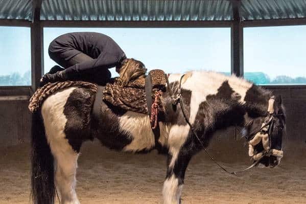 Paardenyoga