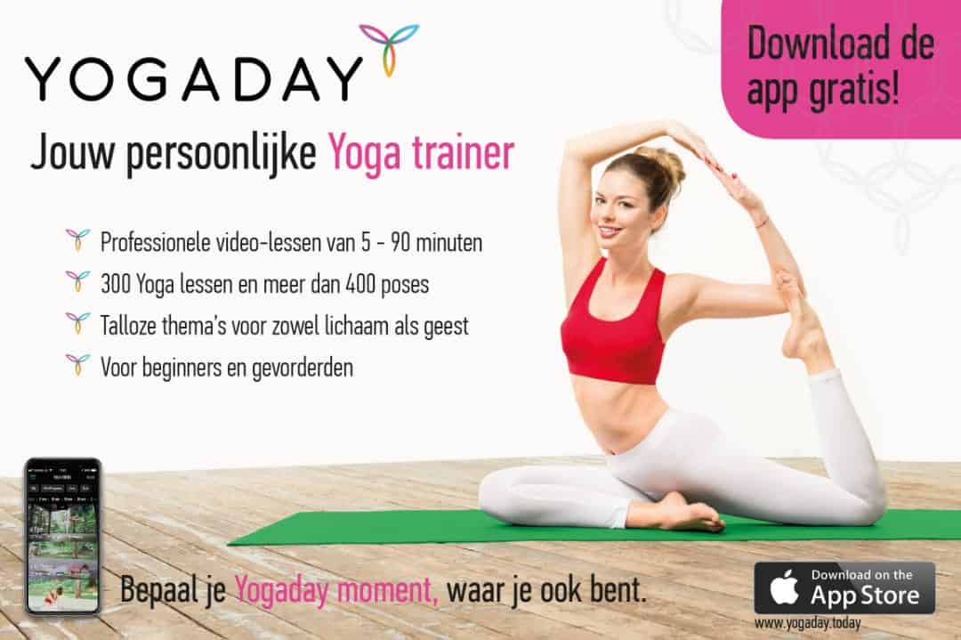 Yoga international shopping