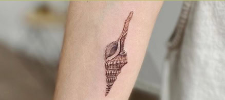 shell tattoo