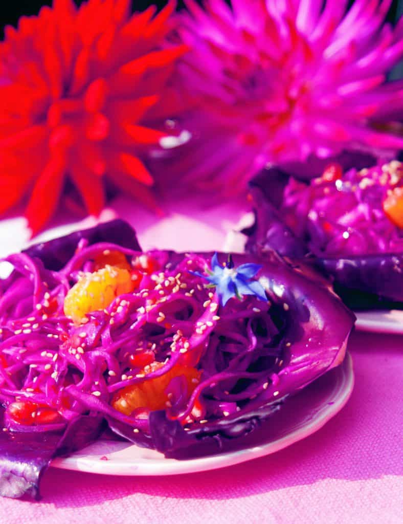 RODE KOOLSALADE MET SINAASAPPEL - De Veldkeuken