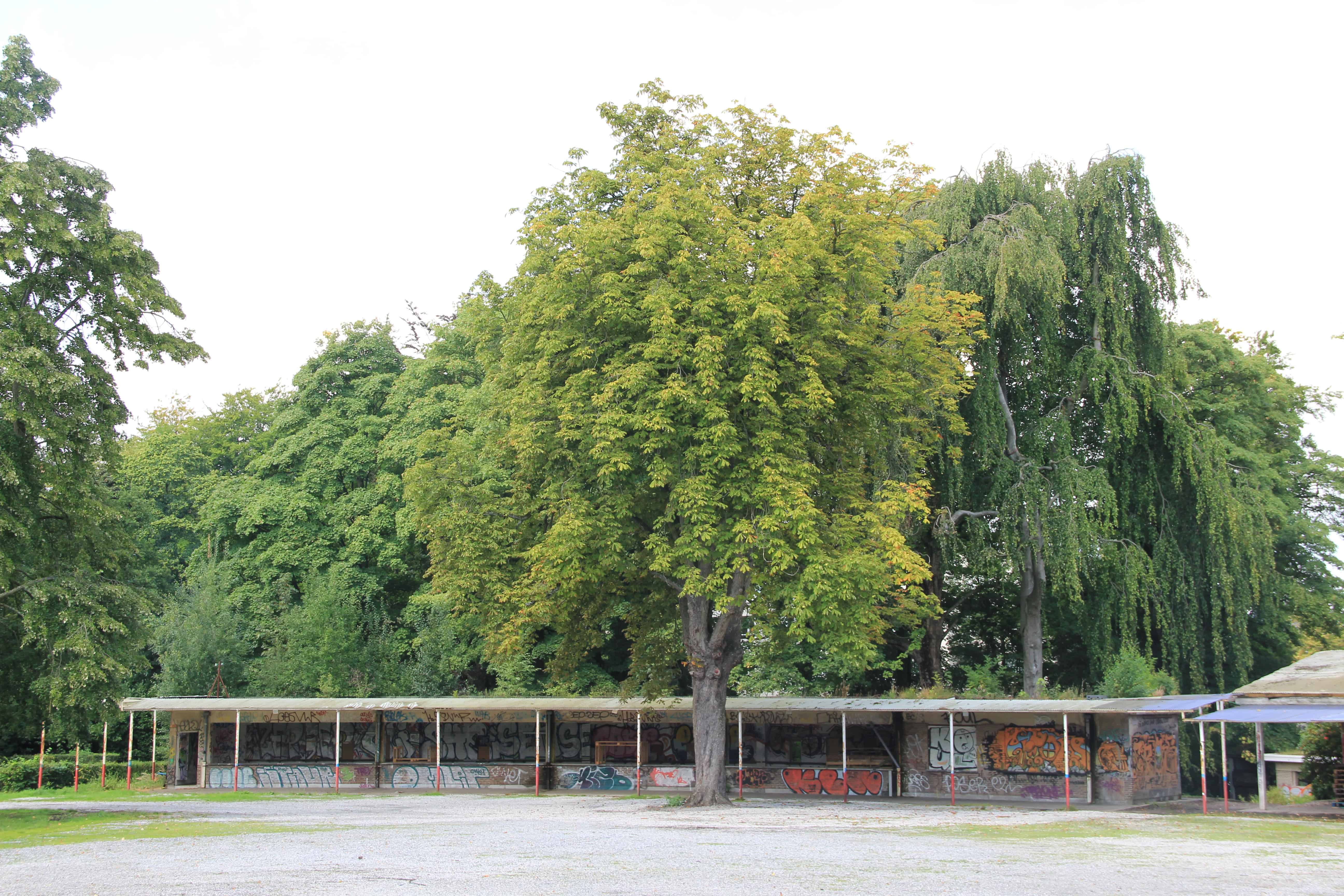  maar niet rustgevend. Foto Klaartje Grol