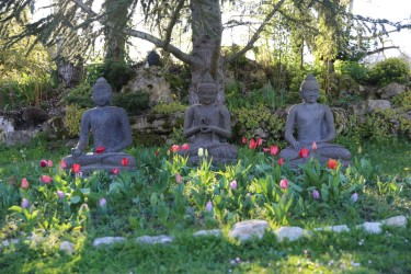 blog boeddhisme Plum Village