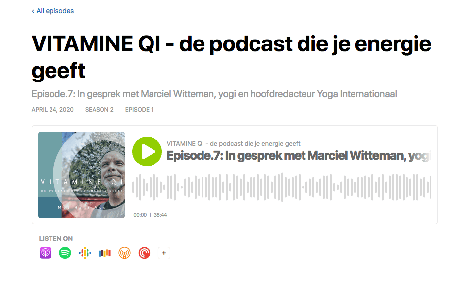 Vitamine QI podcast Hans Vos interviewt Marciel Witteman