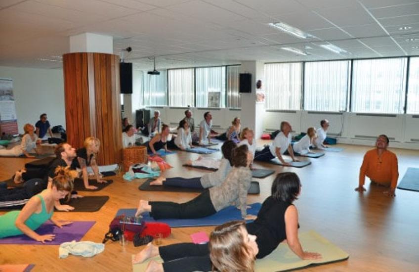Ayuryoga op Internationale Yoga Dag. Bron: EISRA