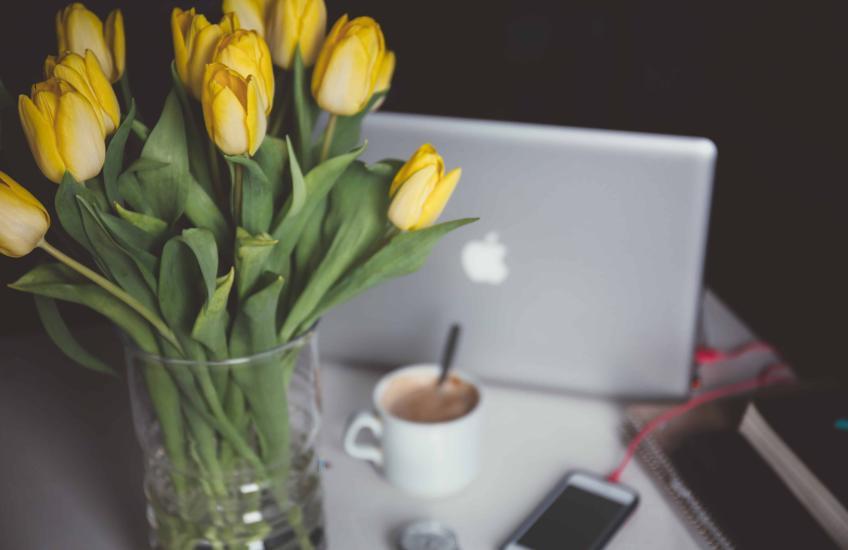 Unsplash. © Alisa Anton