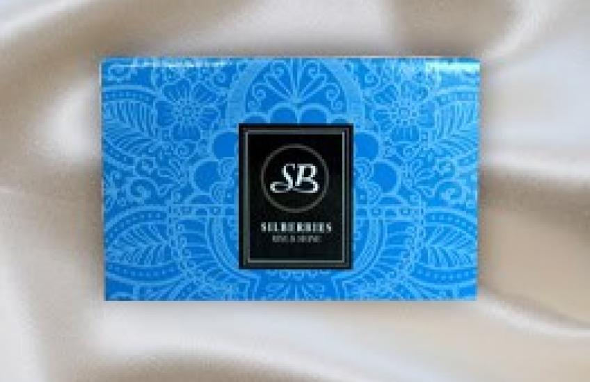 Silberries kussensloop