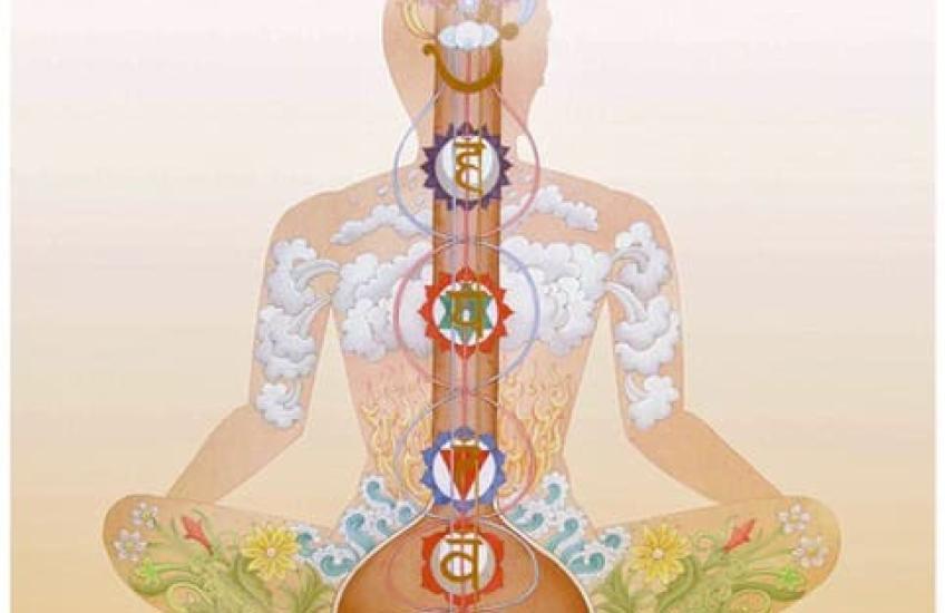 svar yoga chakra institute shri Shyamji Bhatnagar ademhaling 