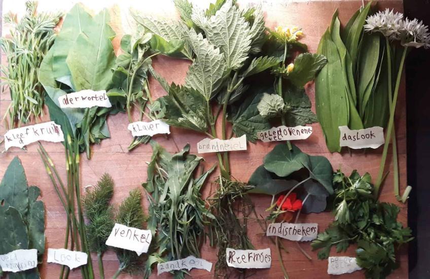 Yoga International: wilplukfeest