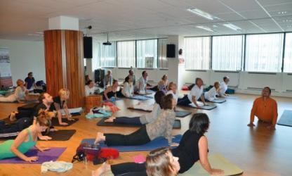 Ayuryoga op Internationale Yoga Dag. Bron: EISRA