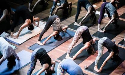 © YogaFest / TommyNLance