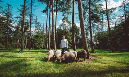 Schaapfulness interview Daniel Versteegh