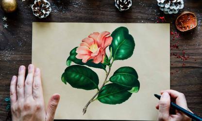 zen tekenen bloem verven