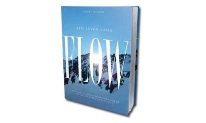 De Piramide van Inzicht