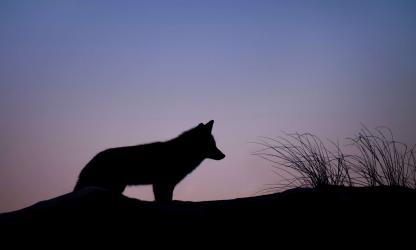 Foto Ray Hennessy via Unsplash