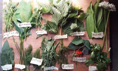 Yoga International: wilplukfeest