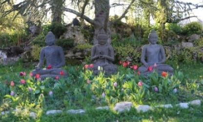 blog boeddhisme Plum Village