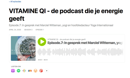 Vitamine QI podcast Hans Vos interviewt Marciel Witteman